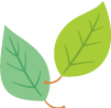 ECOSTAGE
